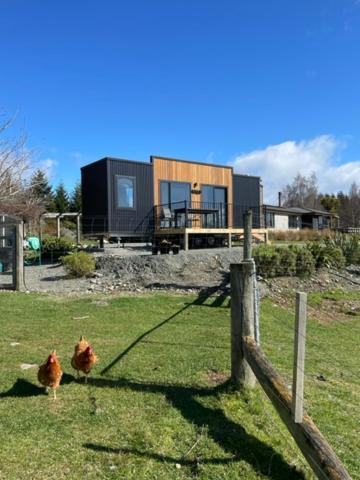 Boutique Tiny House - Te Anau Country Accommodation エクステリア 写真